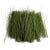 Grass Field 10g