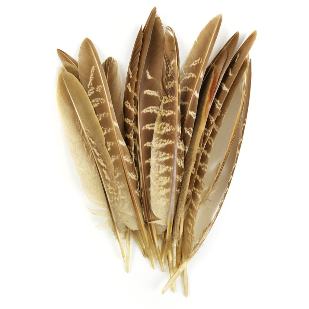 Pheasant Wing Quills 7in 