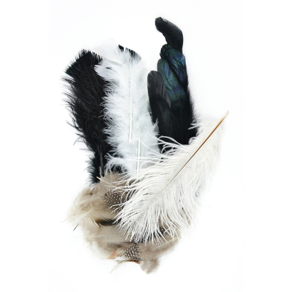 Mix Package Feather Asst Black /White/Natural 7G Black 