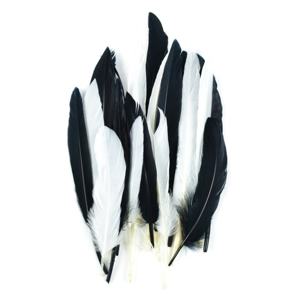 Mini Indian Feathers 3in Black/White Mix 24Pc 