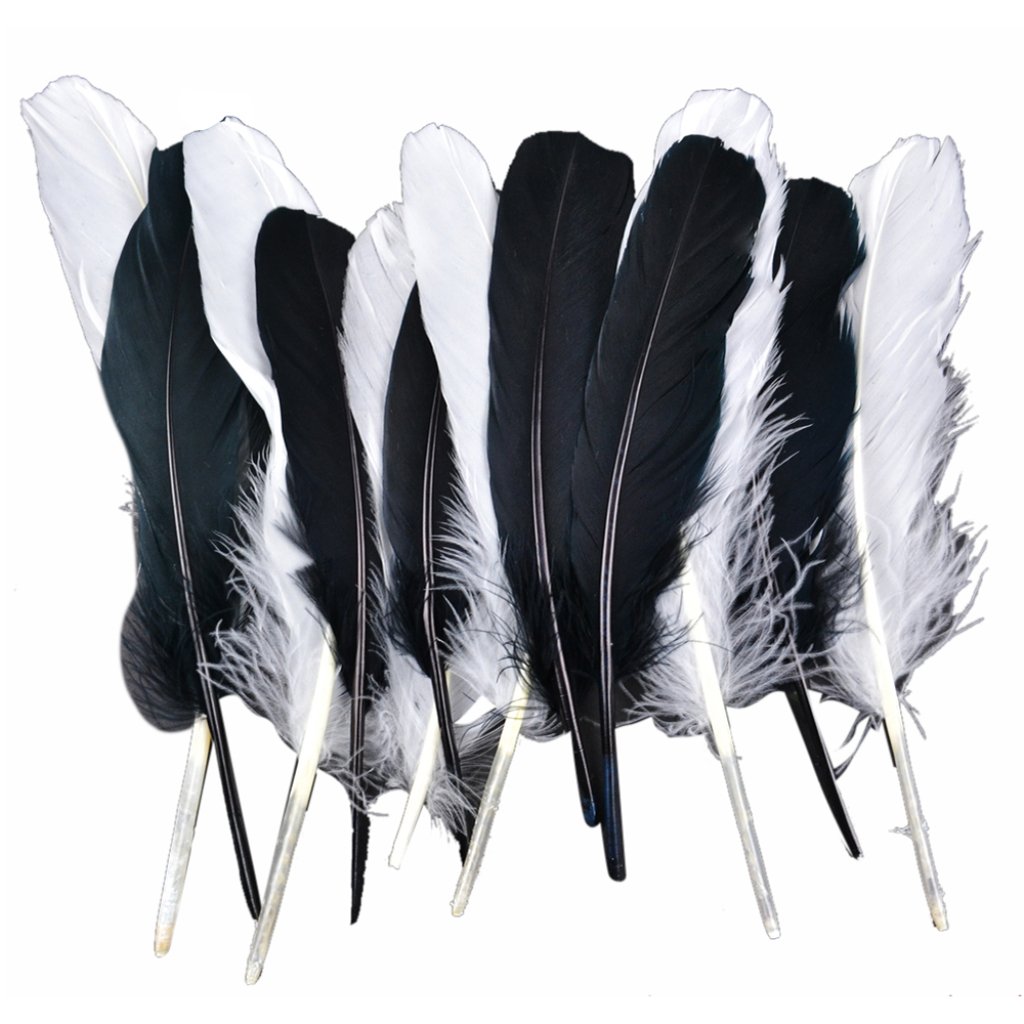 Goose Wing Rounds 7-8in White/Black Mix 12Pcs 