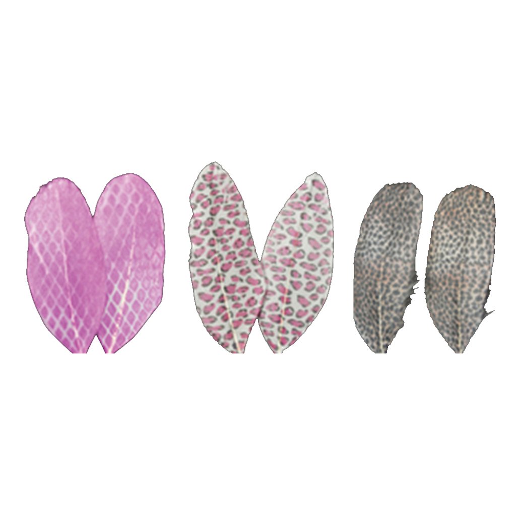 Printed Feathers Assortment Shimmer/Leopard/Pink Leopard 