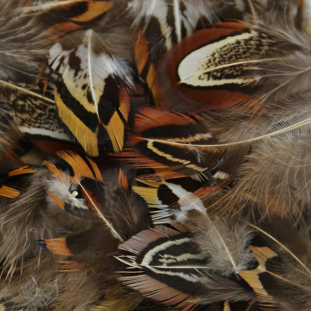 Feather Heart Pheasant 4Gm 