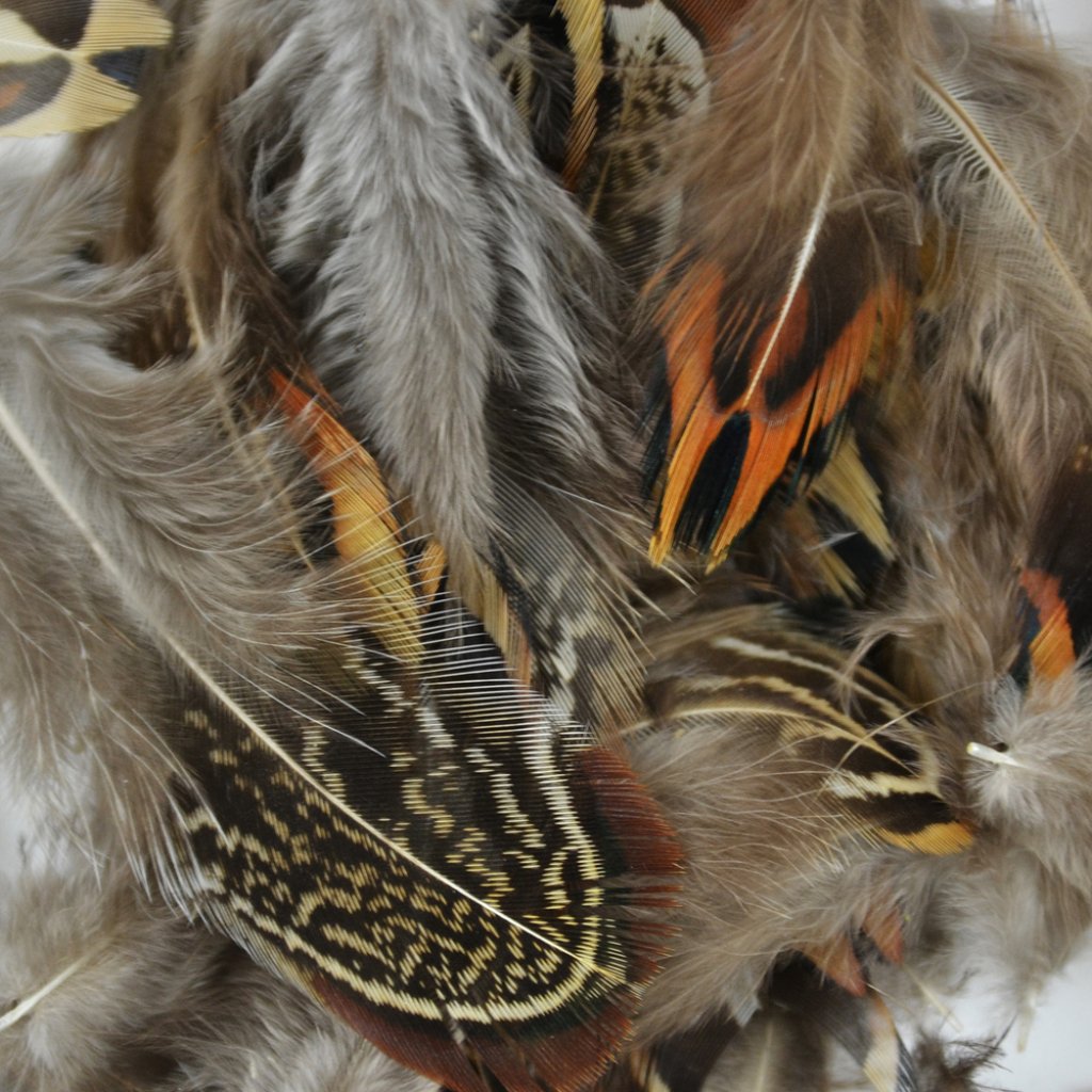 Feather Ringneck Brown 3Gm 