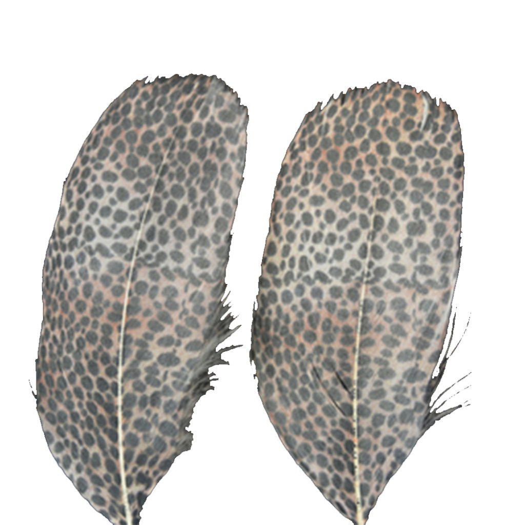 Printed Feathers Leopard Design 4-4.5In 