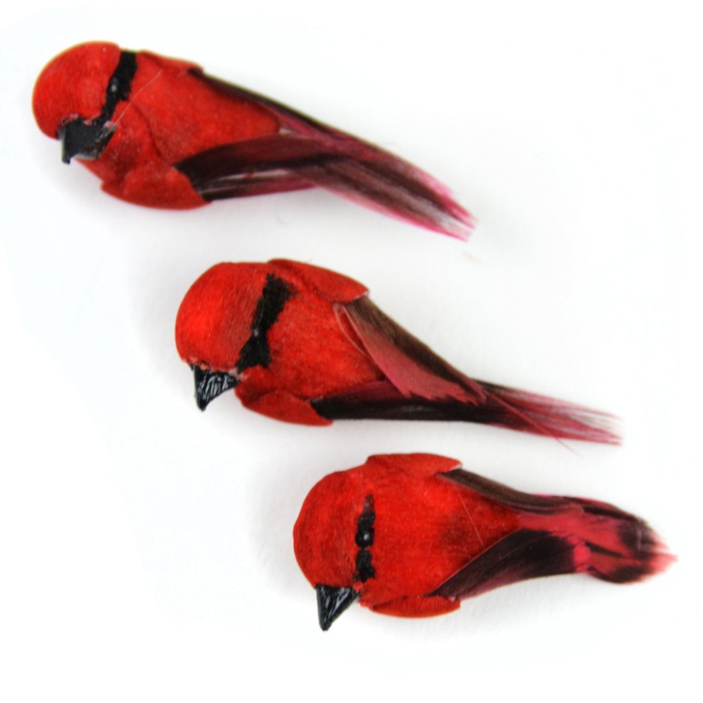 Mini Natural Red Bird 0.5In 