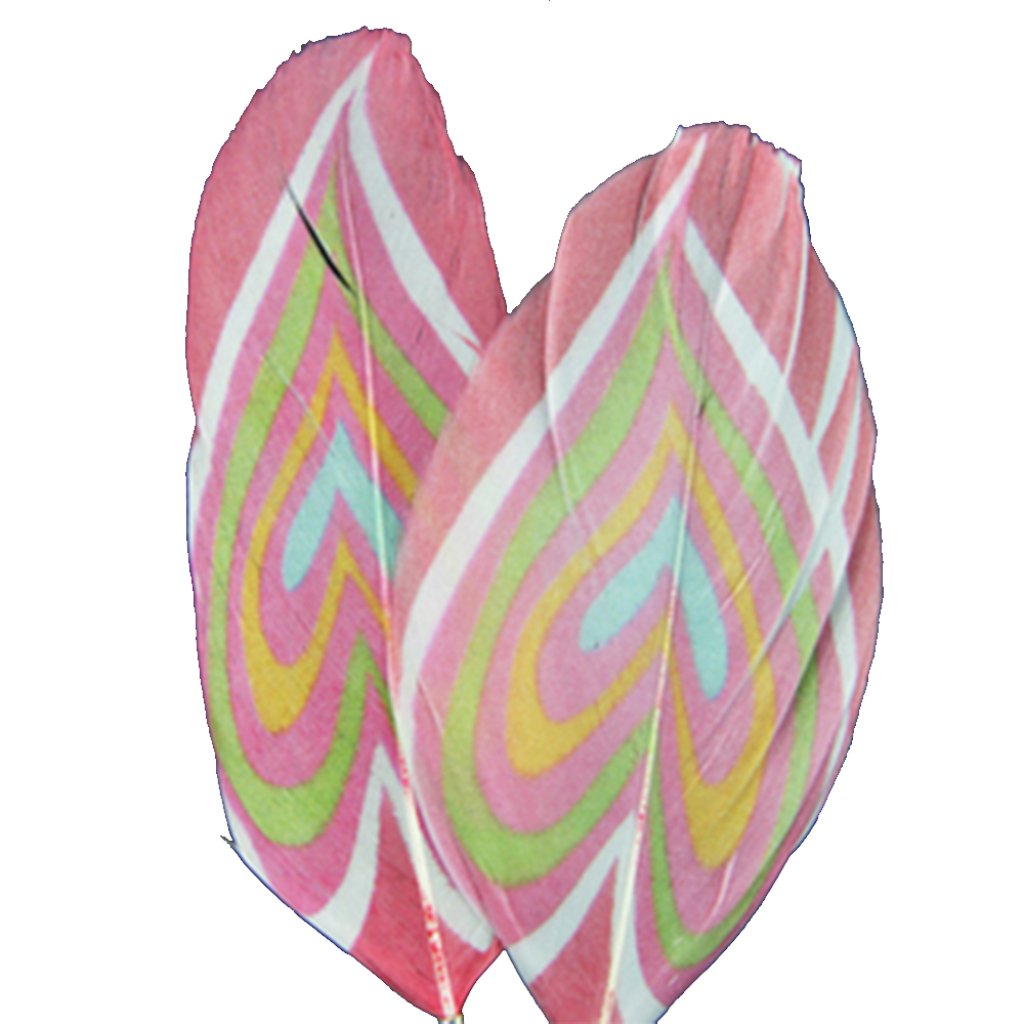 Printed Feathers Swirl Hearts Design 4-4.5In 