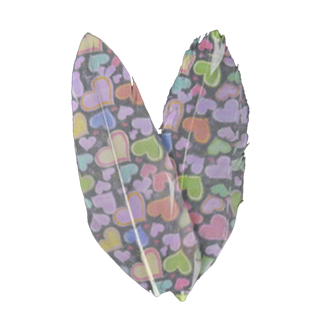 Printed Feathers Hearts Design 4-4.5In 