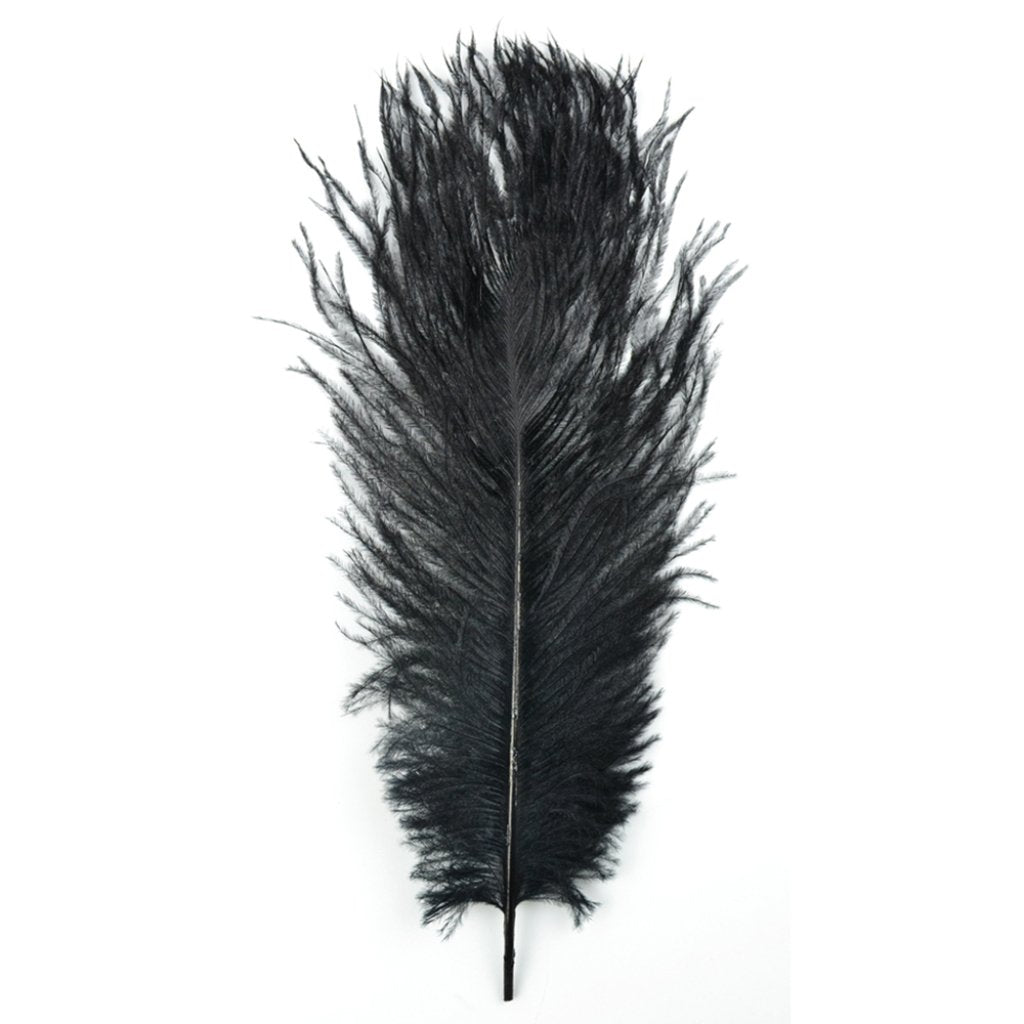 Ostrich Plume 13-15in Black 1Pc 