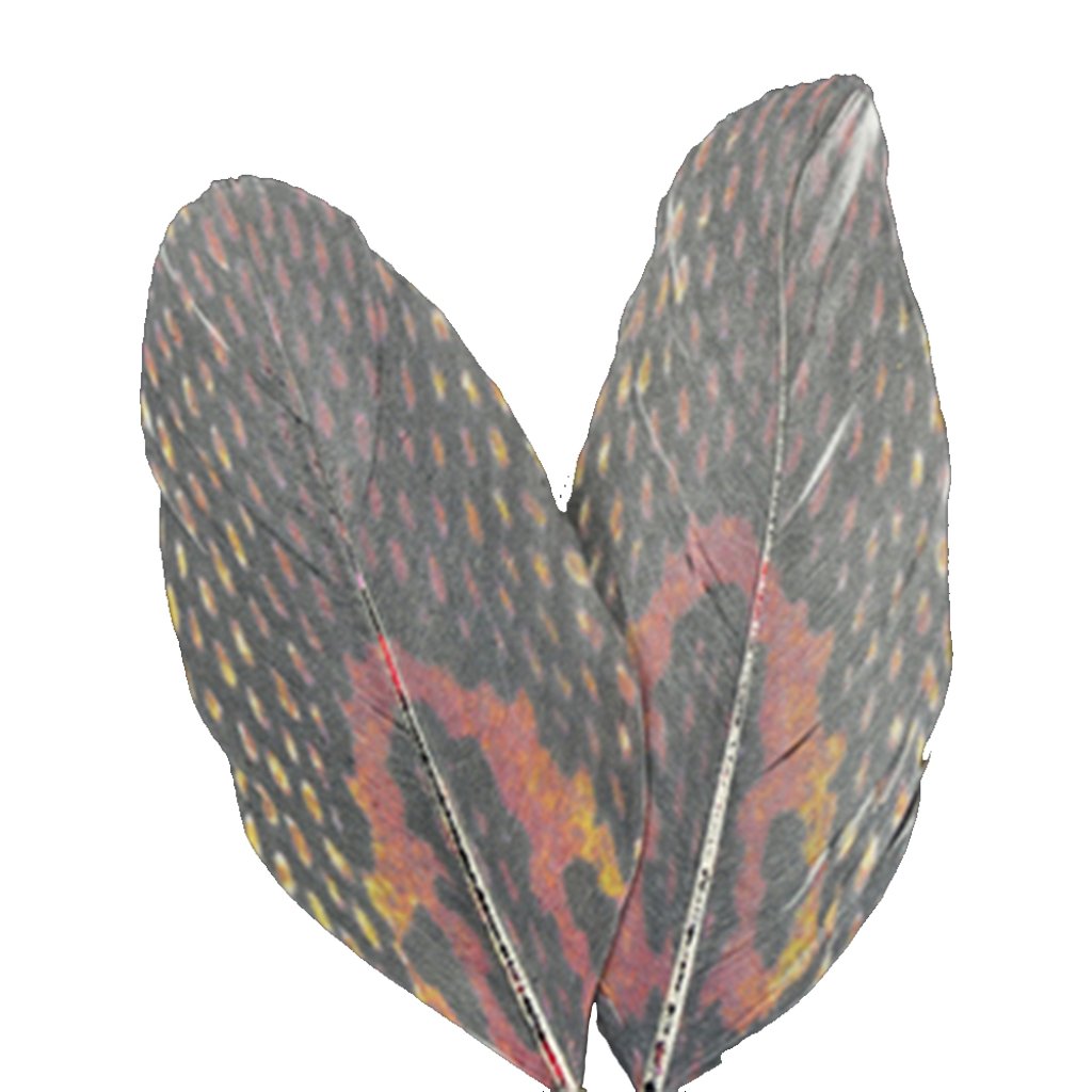 Printed Feathers Snake Skin Design 4-4.5In 
