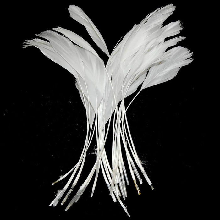 Feather Couque Stripped 4-6" White 6pc