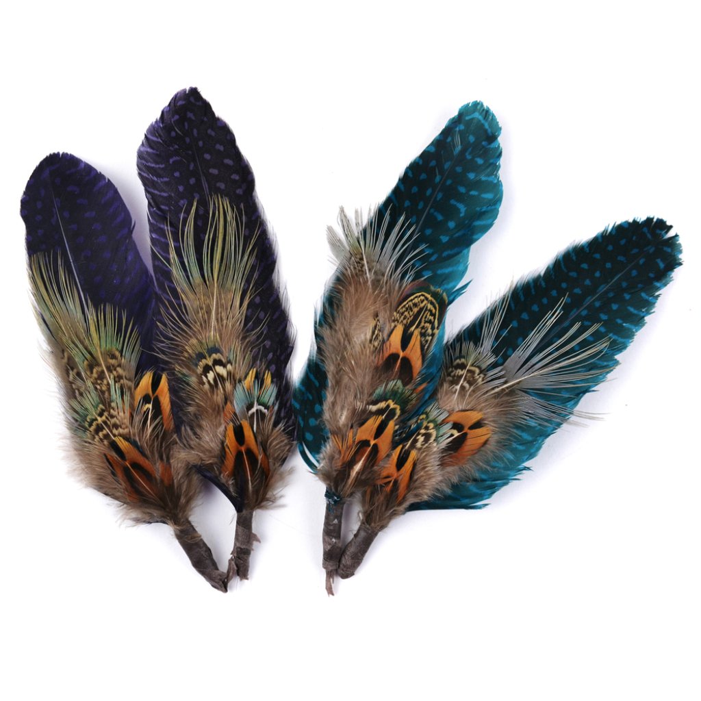 Guinea Peacock Assorted Teal D Eep Purple 