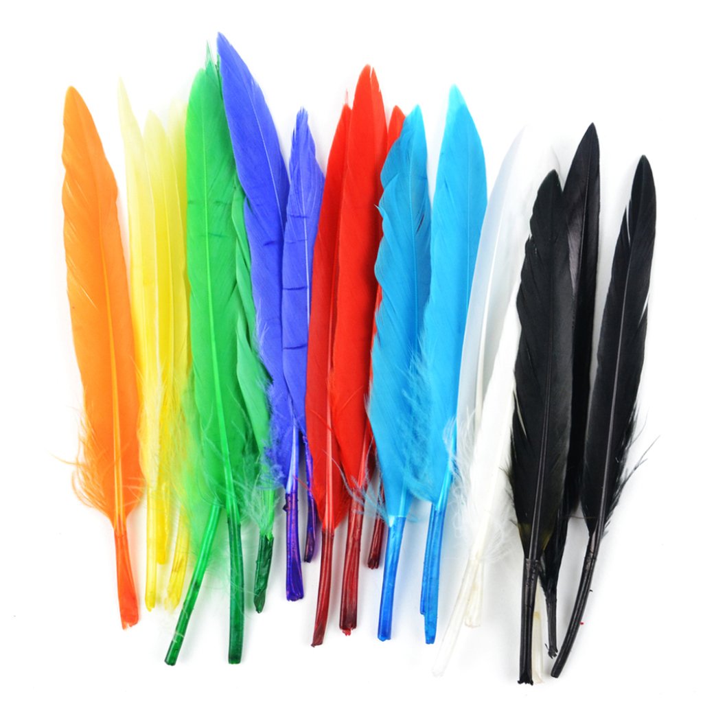 Mini Indian Feathers 3in Assorted Mix 24Pc 