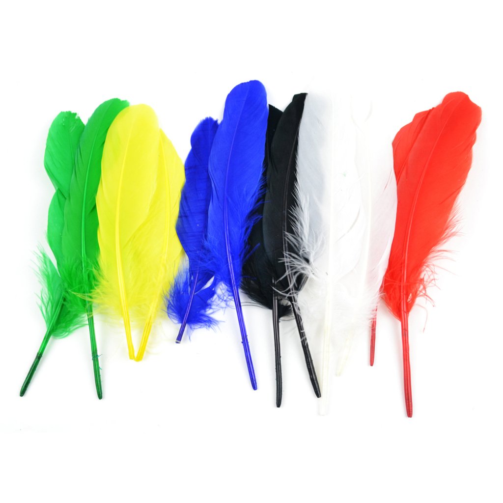 Indian Feather 7-8in Assorted 12Pc 