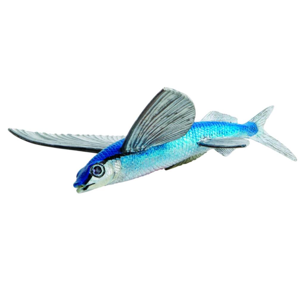 Flying Fish 