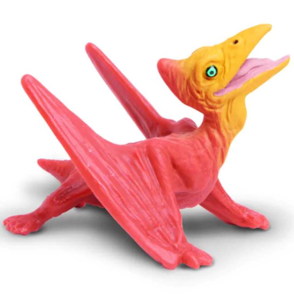 Pteranodon Baby 