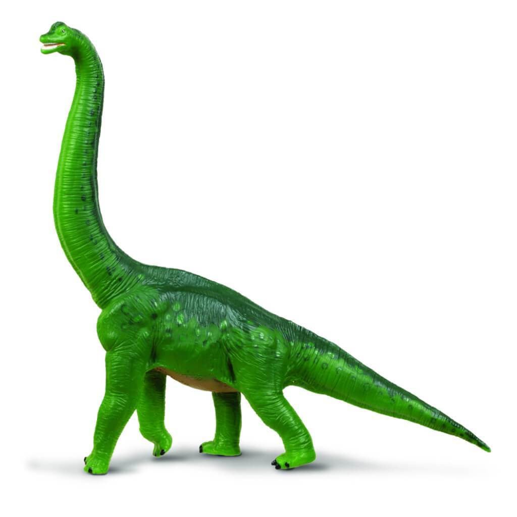 Brachiosaurus 