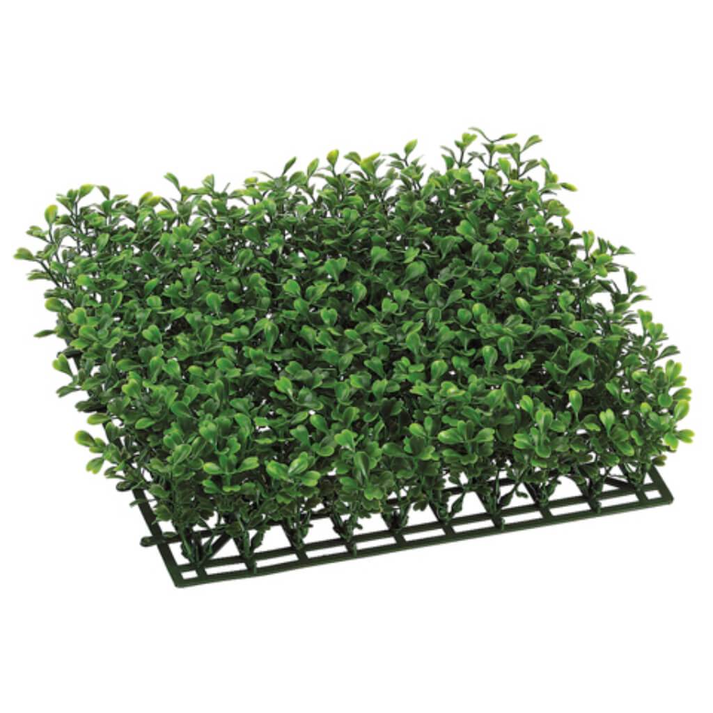 3H10W10&quot;L Boxwood Mat X300 Gr 