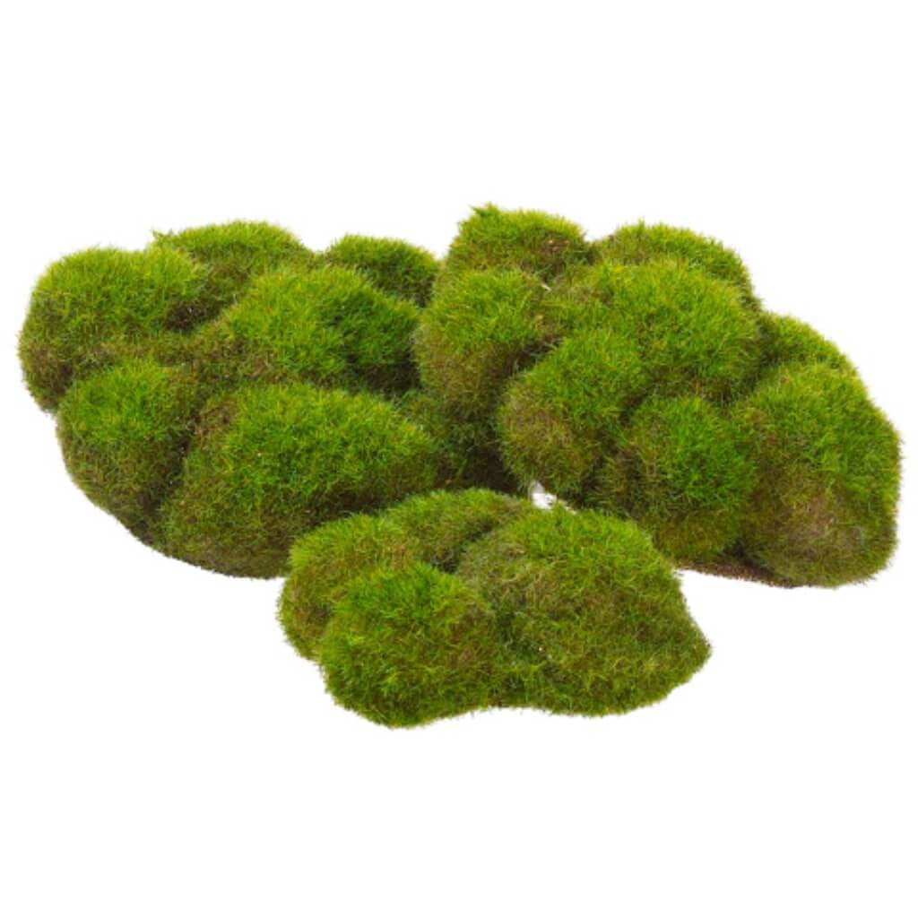 5.9W5.5&quot;L Mood Moss X3(Bag)Gr 