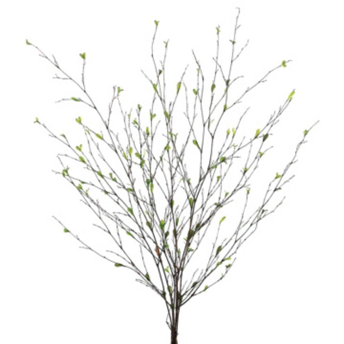 36"Bamboo Branch X6 W/Lvs. Gr 