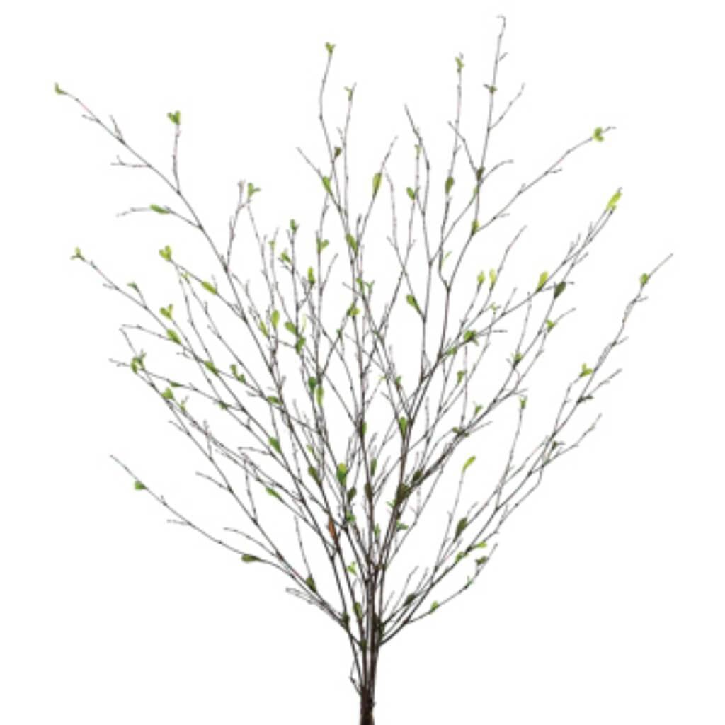 36"Bamboo Branch X6 W/Lvs. Gr 