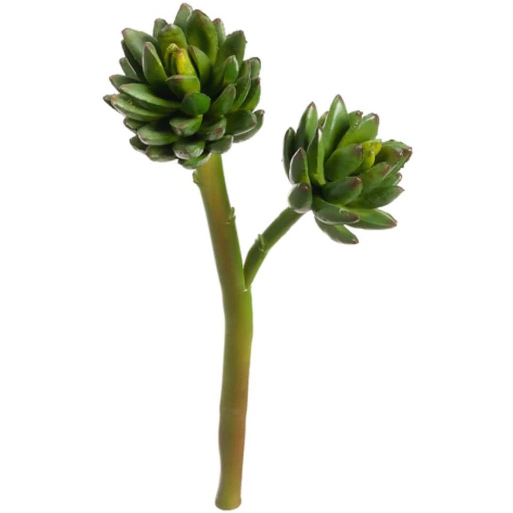 9.5"Agave Stem X2 Gr 