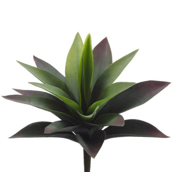 11"Agave Plant 19L Gr 