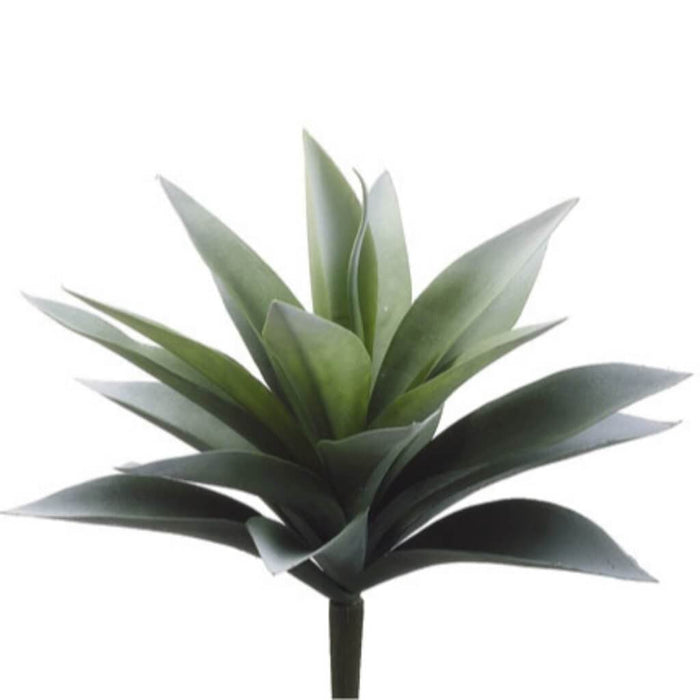 11"Agave Plant 19L Gr/Fs 
