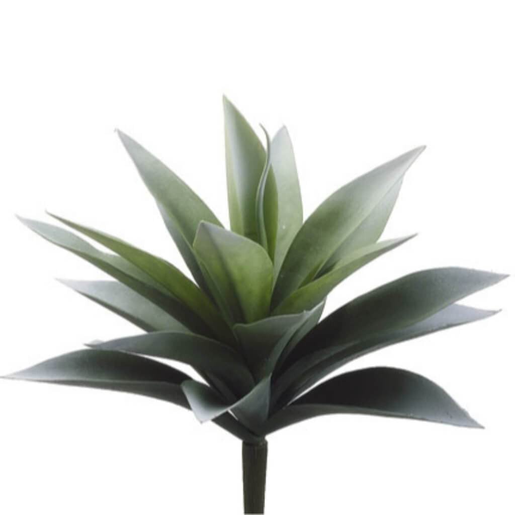 11"Agave Plant 19L Gr/Fs 
