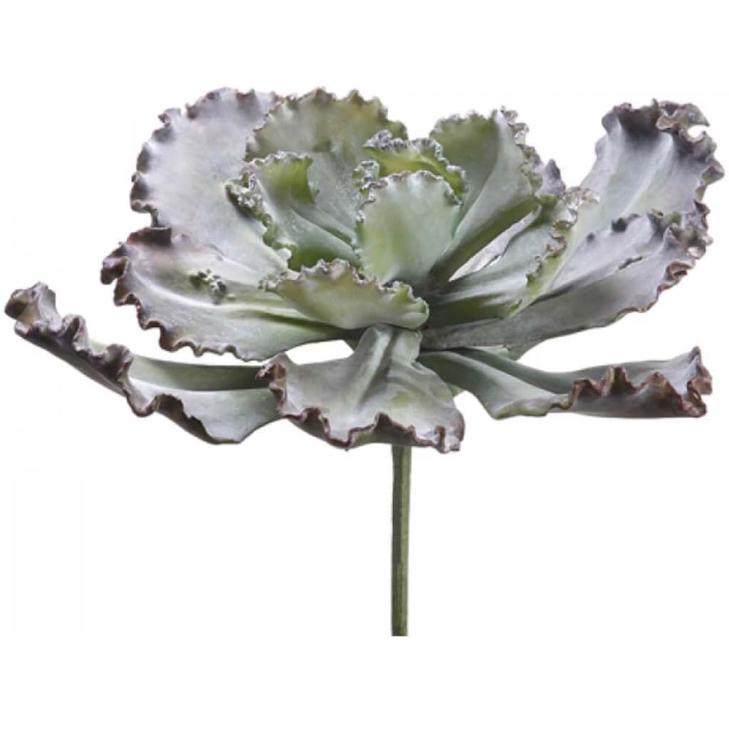 15"Curly Echeveria Pu/Gr 