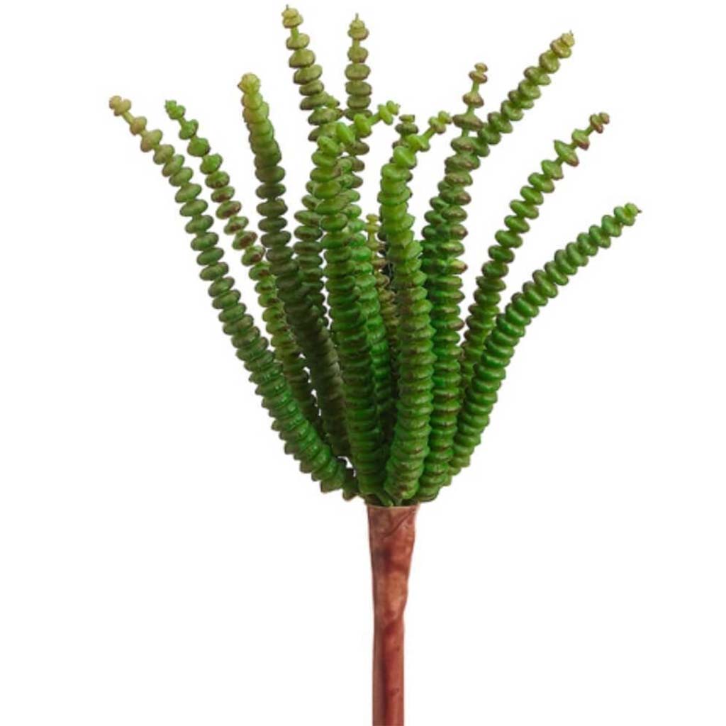7.4"Worm Succulent Pick Gr 