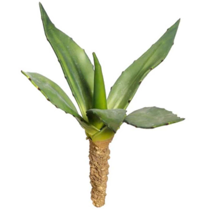 Succulent Plant Gr 13.5" 