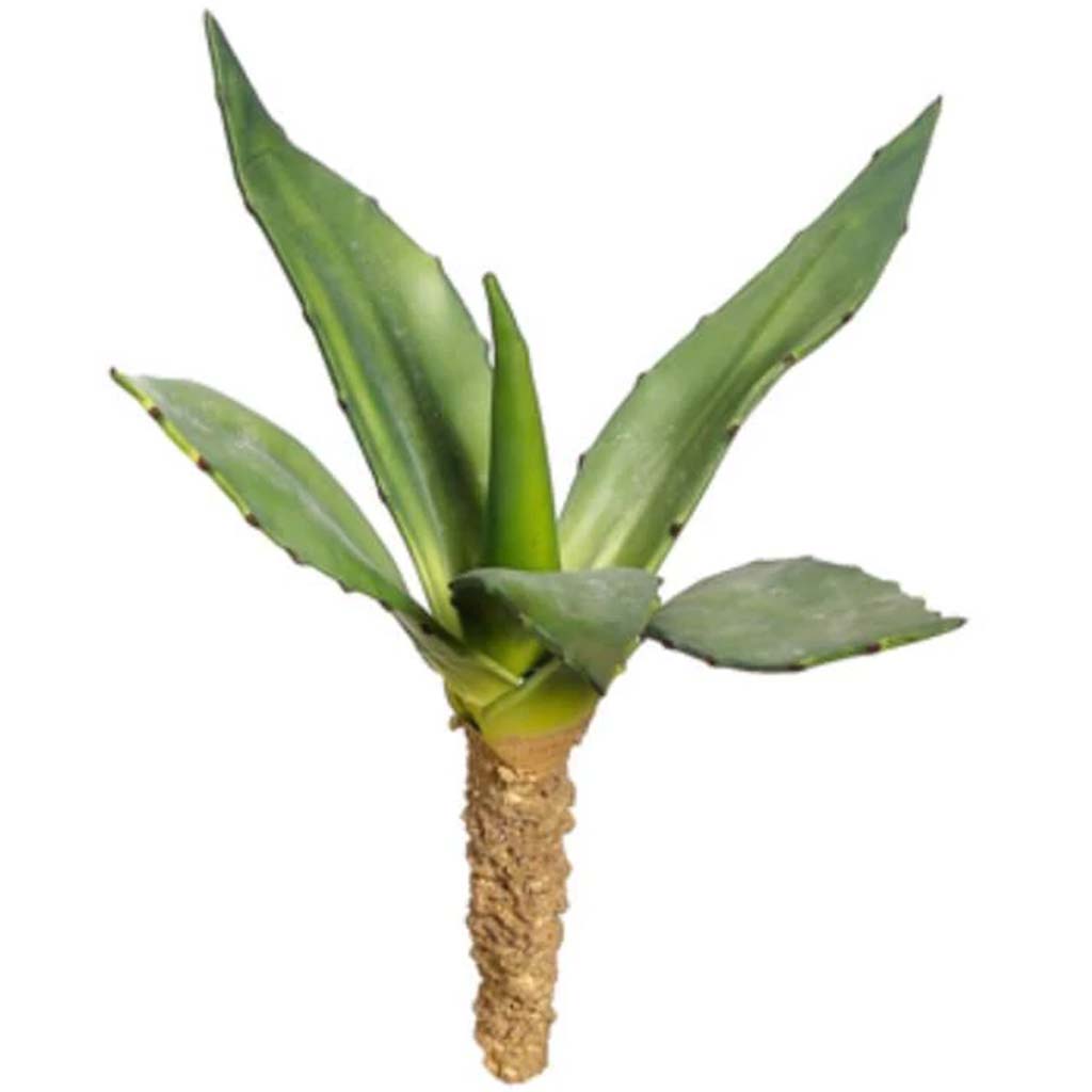 Succulent Plant Gr 13.5" 