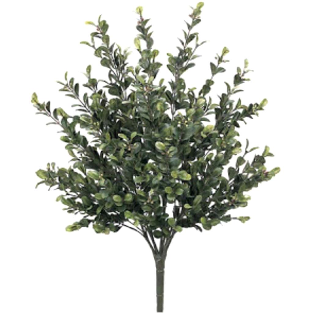 20"Boxwood Bush X7 Green 