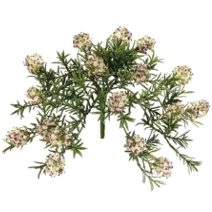 Dorrit Bush 9" Pu/Gr 