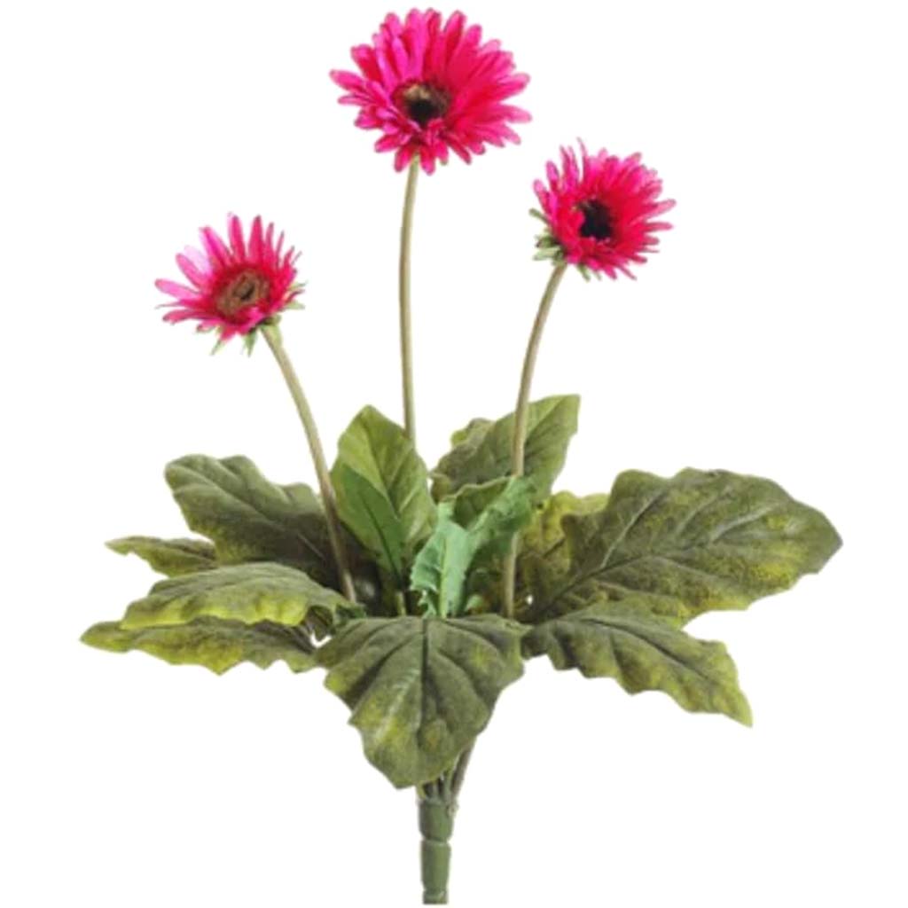 19"Gerbera Daisy Bush X3 Bt 