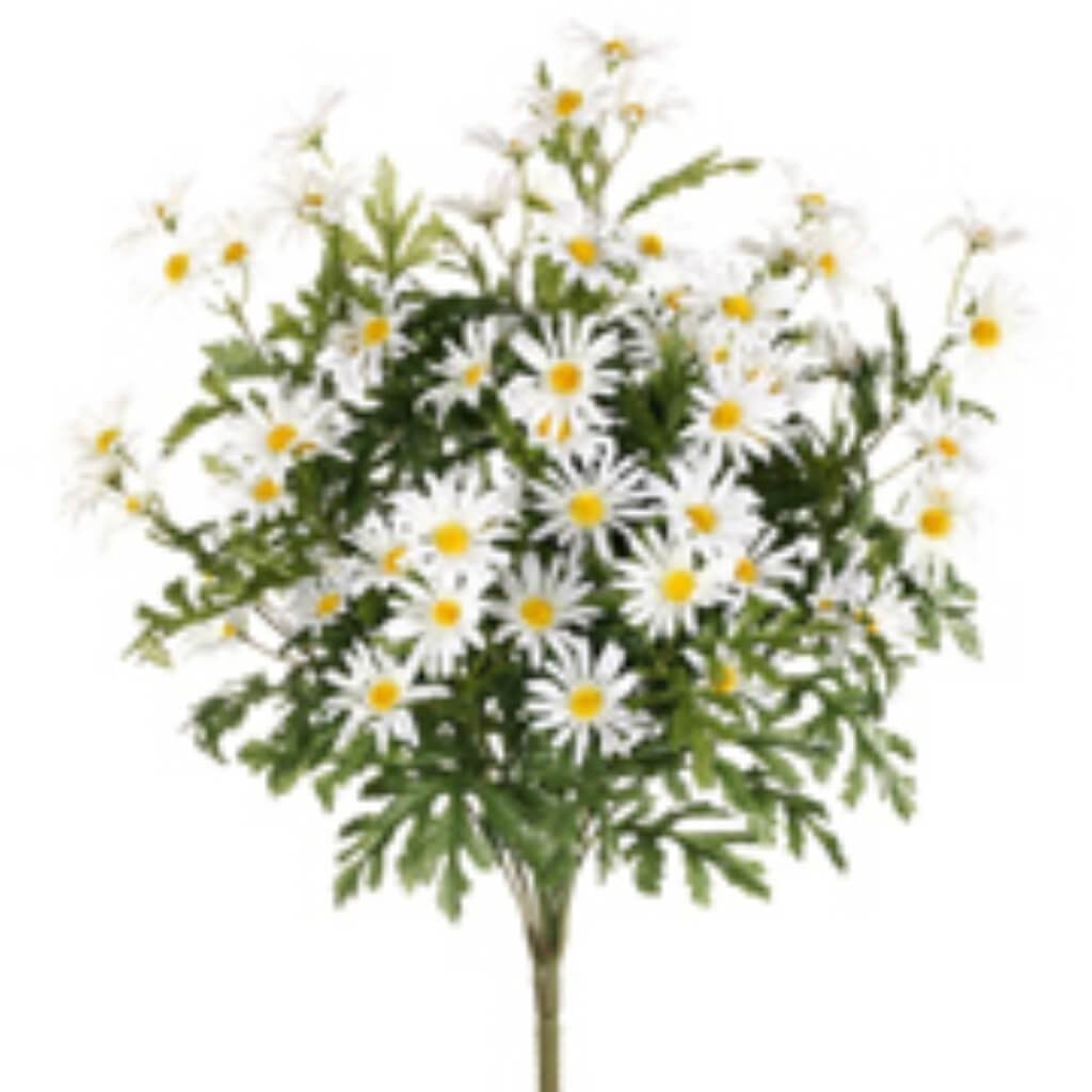 24"Farmhouse Daisy Bush X14 Wh 