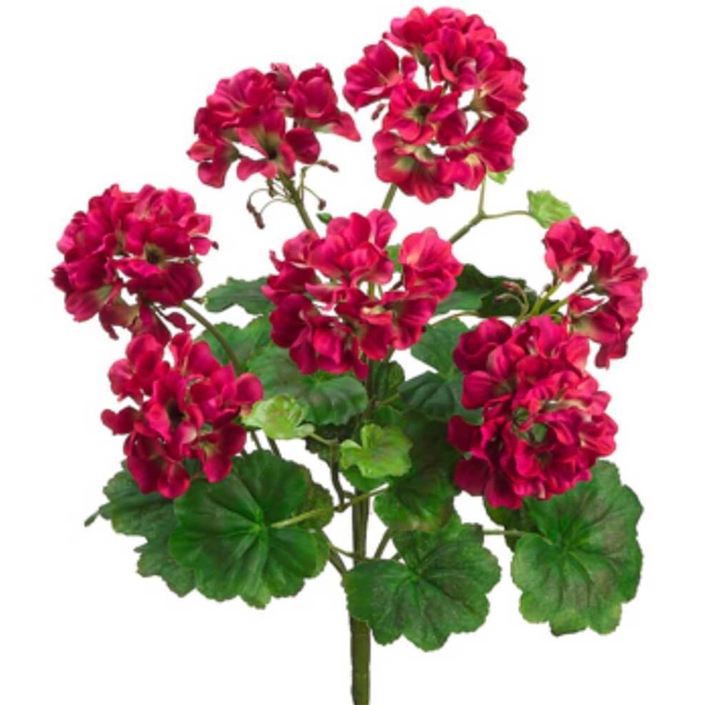 18"Geranium Bush Bt 