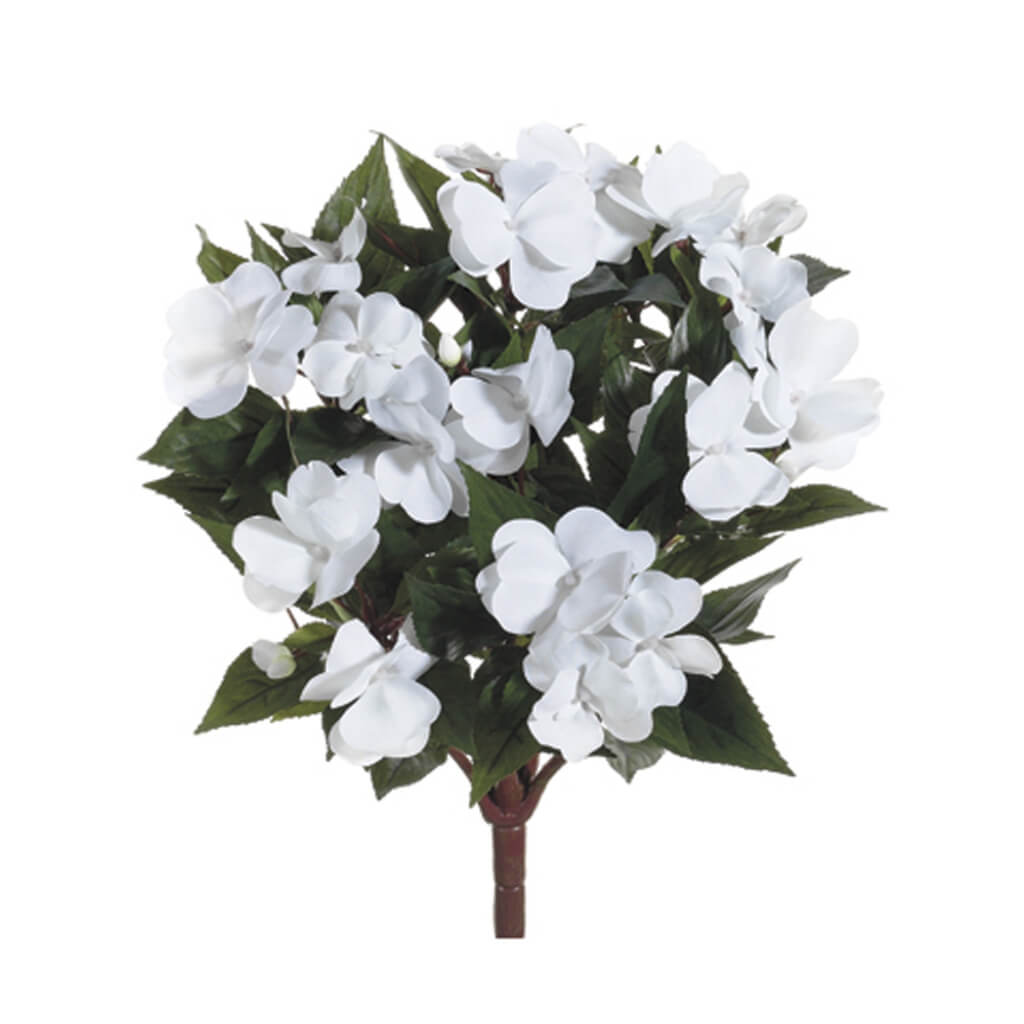 New Guinea Impatiens Bush White, 13.7in