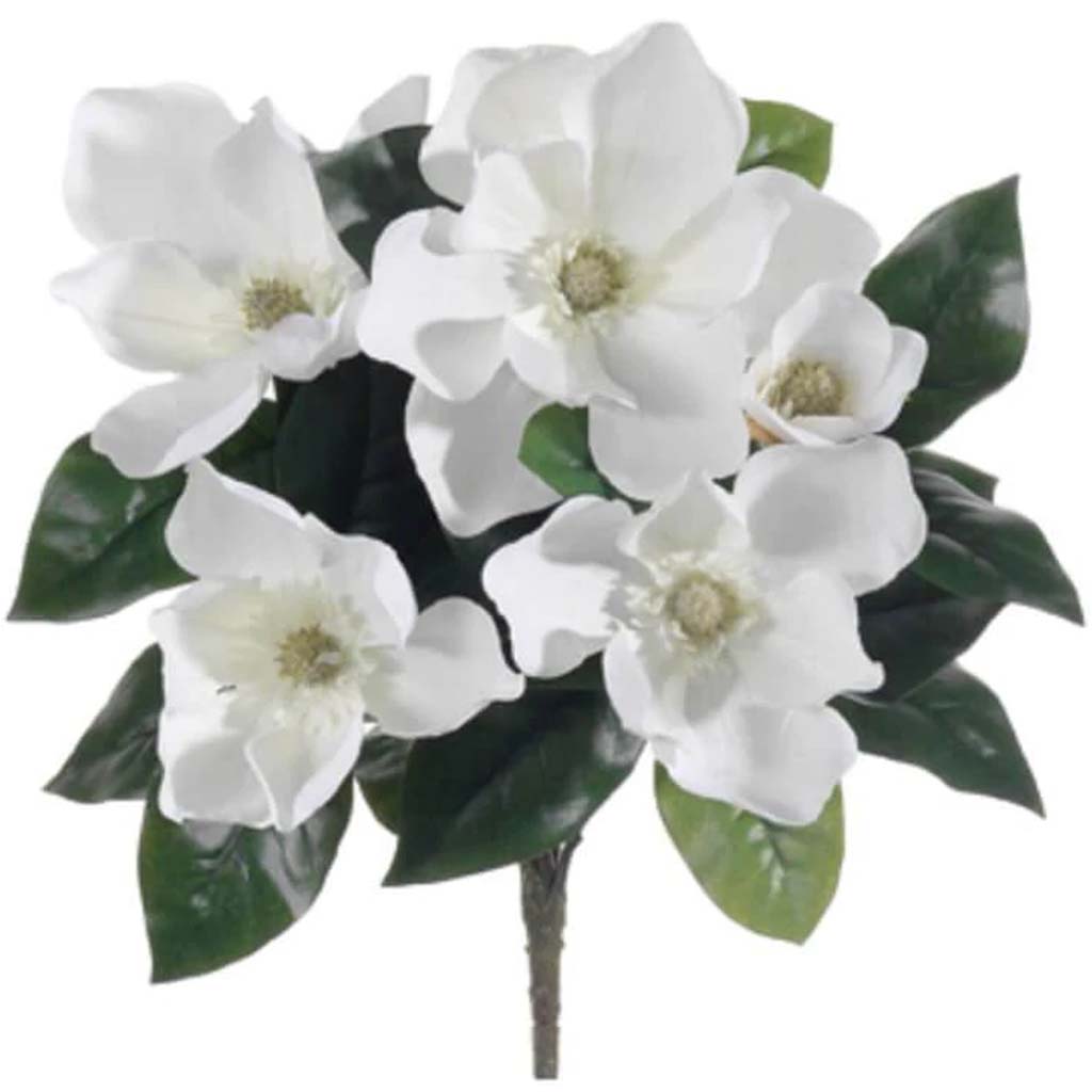 Magnolia Bush X5 Wh 19&quot; 