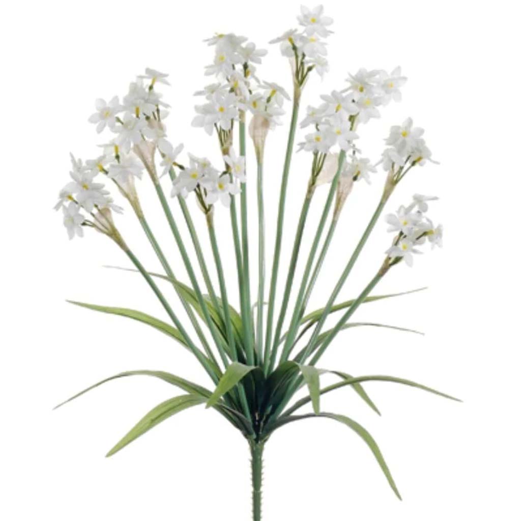 21"Narcissus Bush X14 Cr/Wh 