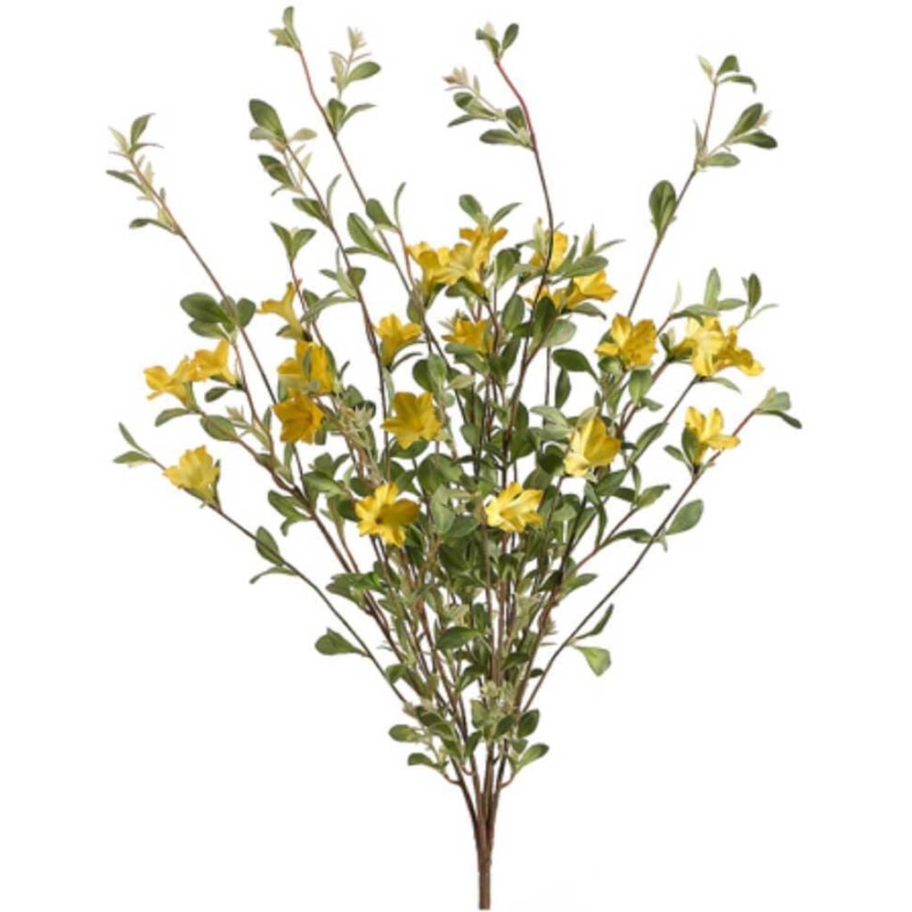 30"Wild Petunia Bush X5 Ye 