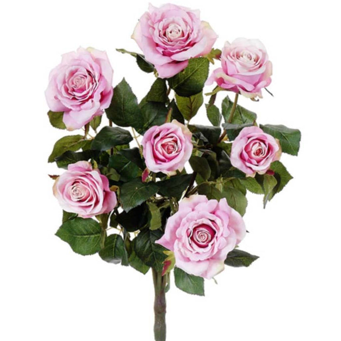21.5"Conf.Rose Bush X7 Pk/Tt 