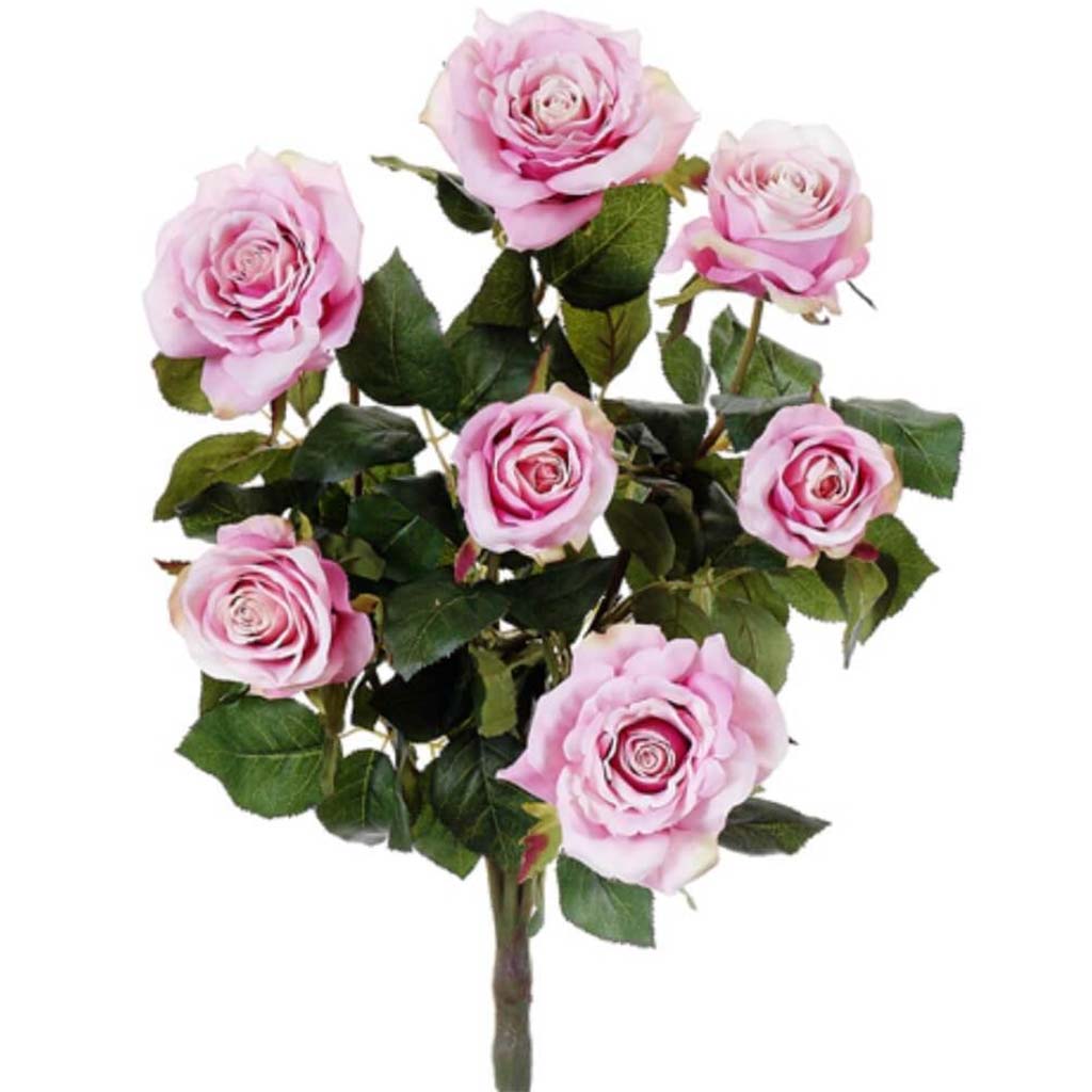 21.5"Conf.Rose Bush X7 Pk/Tt 