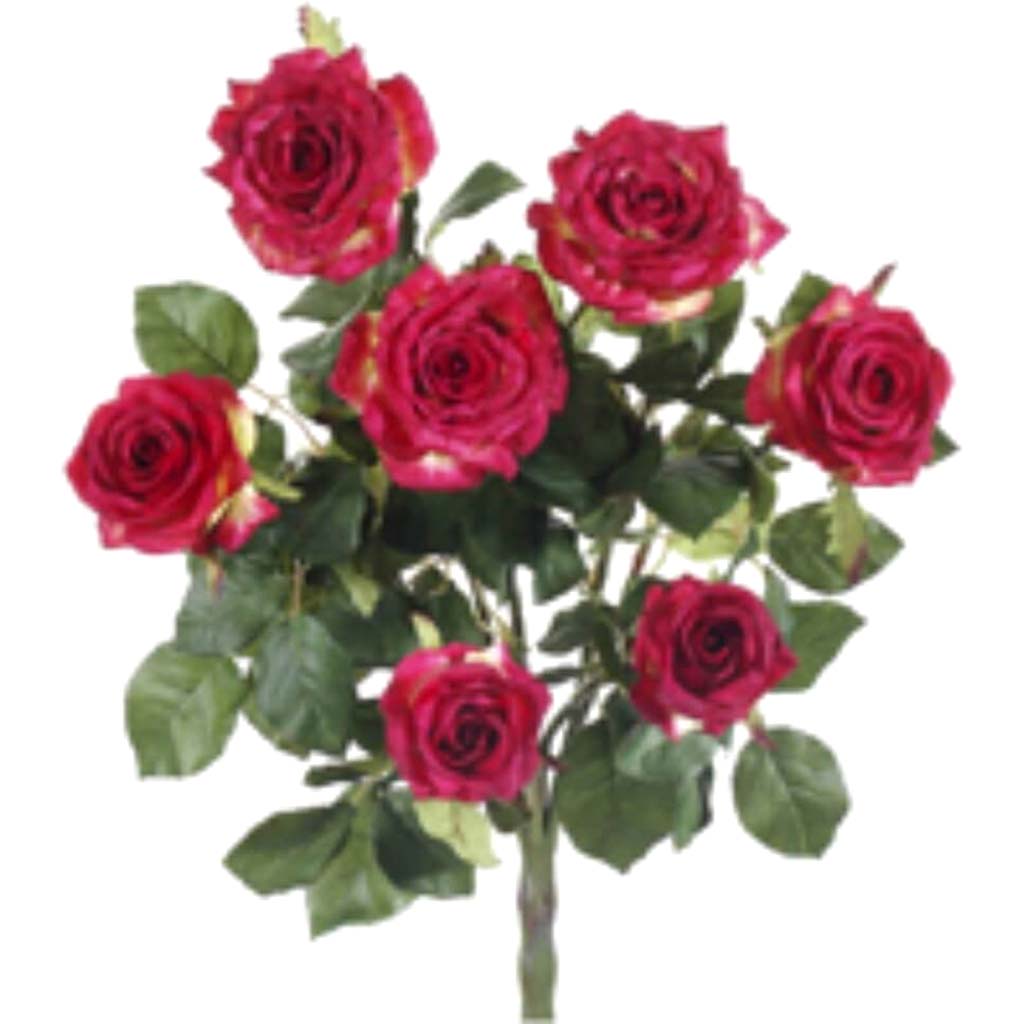 21.5"Conf.Rose Bush X7 Re 