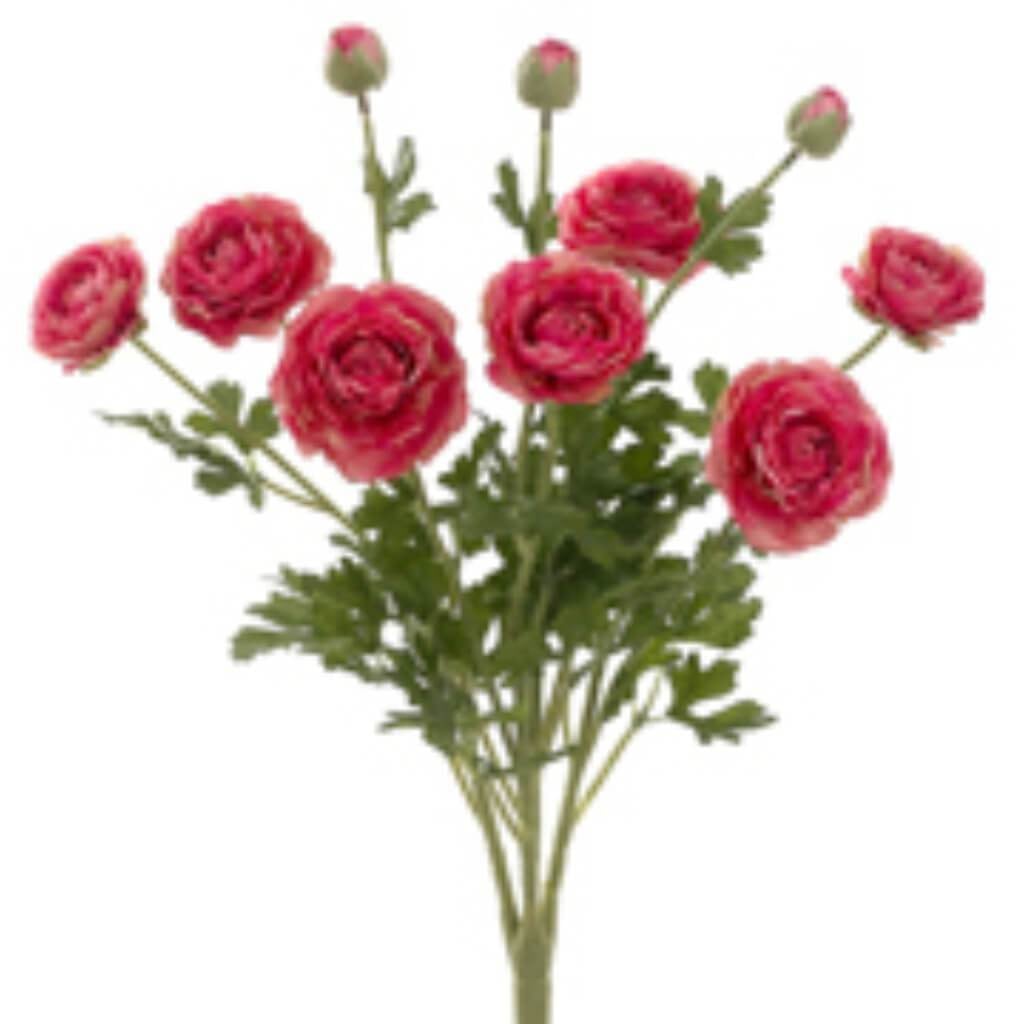 19"Ranunculus Bush 7F3B Ro 
