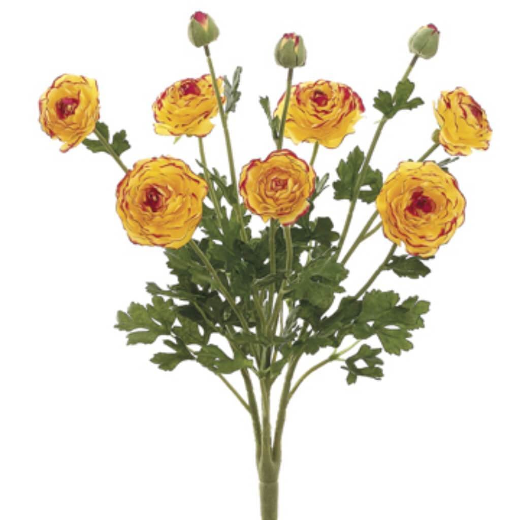 19"Ranunculus Bush 7F3B Ye/Bu 