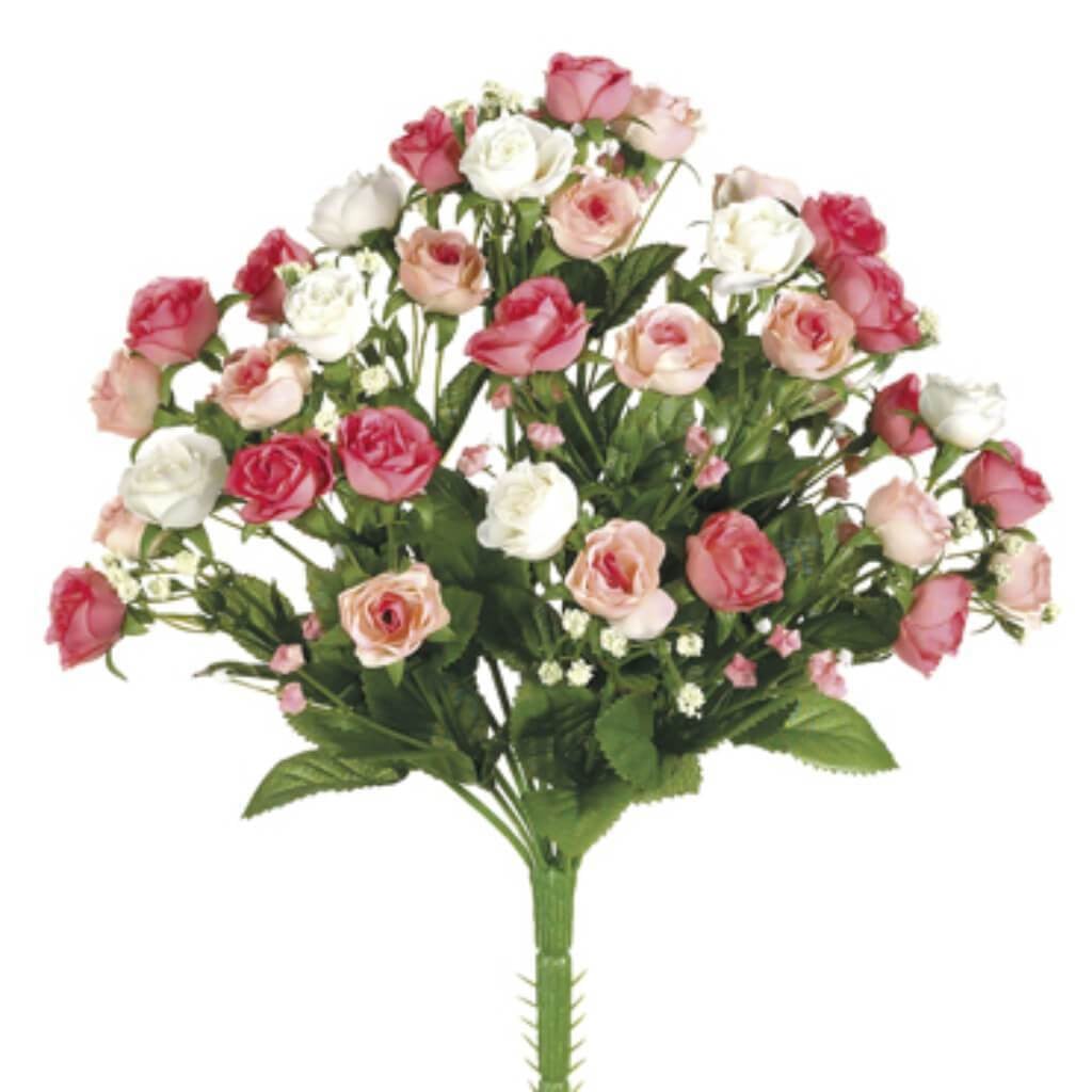 12&quot;Sweeth. Rose Bush X14 Pk/Cr 