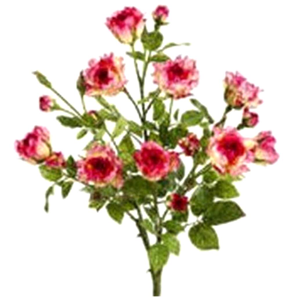 21"Suzie'S Rose Bush Bt/Cr 