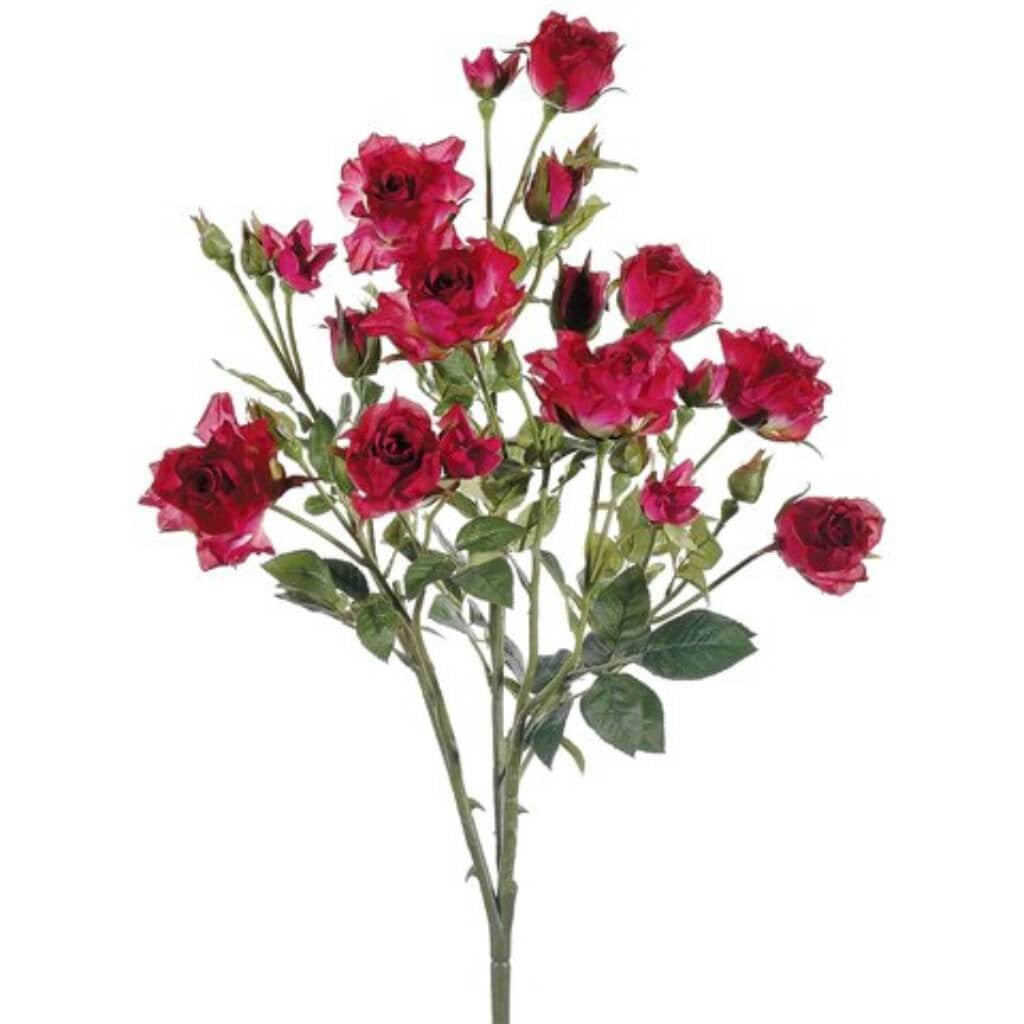 21"Suzie'S Rose Bush Cs/Tt 